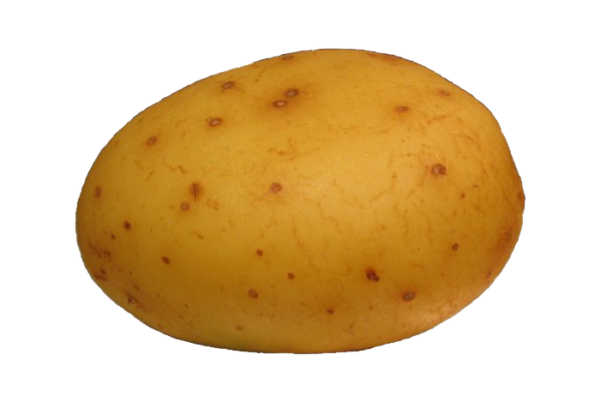 Potato (Aloo) (500g)