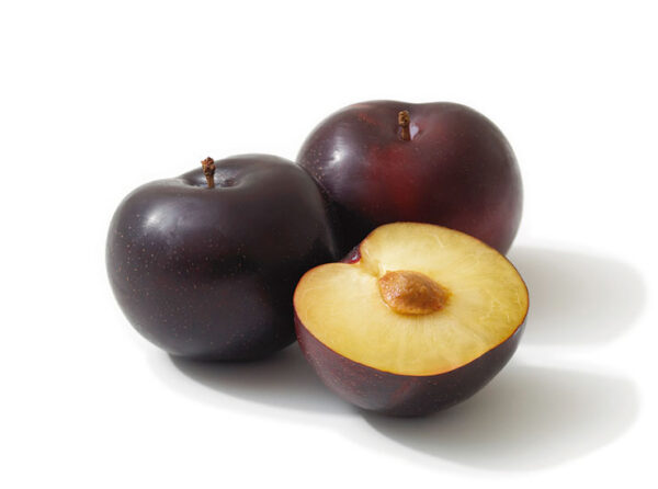 Plum Imported