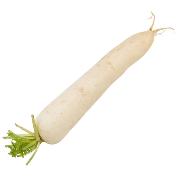 Radish