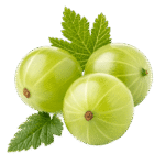 amla