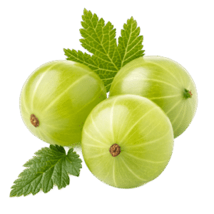 amla