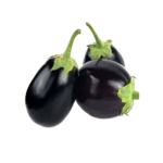 brinjal round big